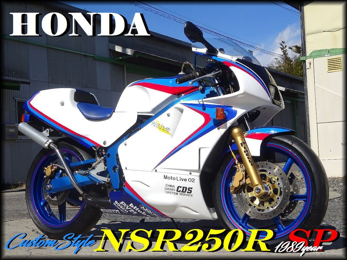 NSR250アンダーカウル NSR250 銀テラ アンダーカウル
