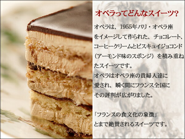 あす楽対応商品】【オペラ】バースデーケーキ 誕生日ケーキ チョコレートケーキ ケーキ メッセージプレート 送料無料 翌日 神戸スイーツ 2022  ギフト 秋スイーツ 洋菓子 早割 キャンドル お返し 父の日 お菓子 お供え 帰省 お彼岸 敬老の日 残暑見舞い - 乐天直购-GPSS